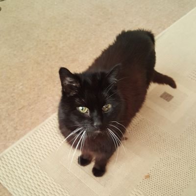 Profile Picture of Aileen Irvine (@IrvineAileen) on Twitter