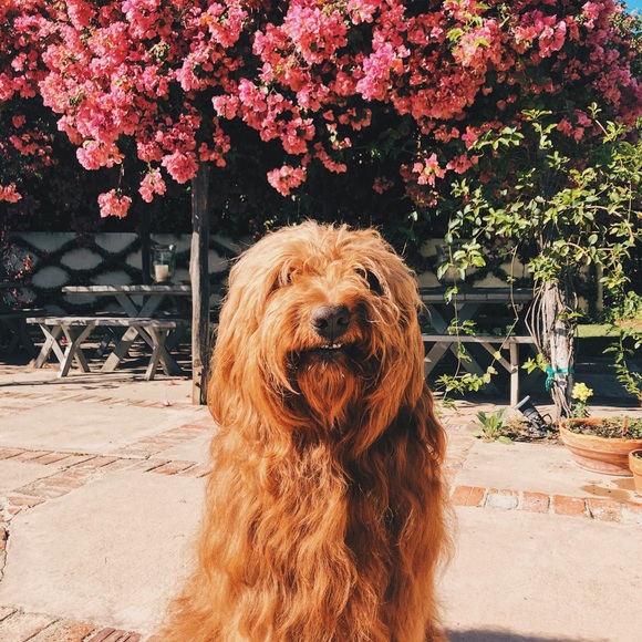 Profile Picture of John rolf Onate (@johnrolfonate03) on Poshmark