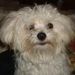 Profile Picture of Kimberly Johnson (@cobey2) on Pinterest