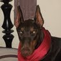 Profile Picture of Matthew Cataldo (@matthew-cataldo-2) on Quora