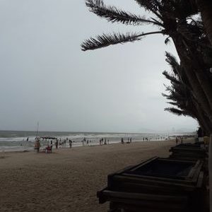 Profile Picture of Phung Do (@PhungDo11) on Twitter