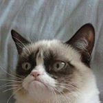 Profile Picture of Peter Claßen (@trollimel) on Instagram