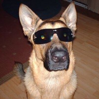 Profile Picture of Michael McCaslin (@macmccaslin7) on Twitter