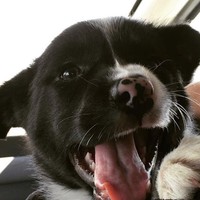 Profile Picture of Michaela Danielson (@michaela-danielson-1) on Quora