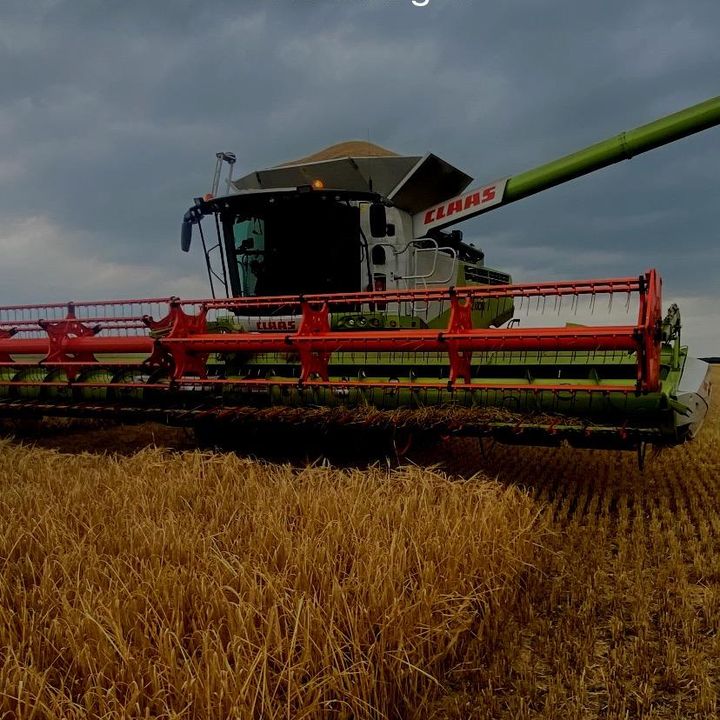 Profile Picture of George Singer (@@georgesinger2) on Tiktok