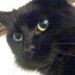 Profile Picture of brian yeates (@briany1046) on Pinterest