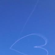 Profile Picture of Megan Arnoldy (@marnoldy) on Pinterest