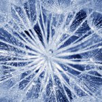 Profile Picture of Seth Vestal (@shadowblade1177) on Instagram