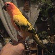 Profile Picture of Carl Smock (@carl.smock.5) on Facebook