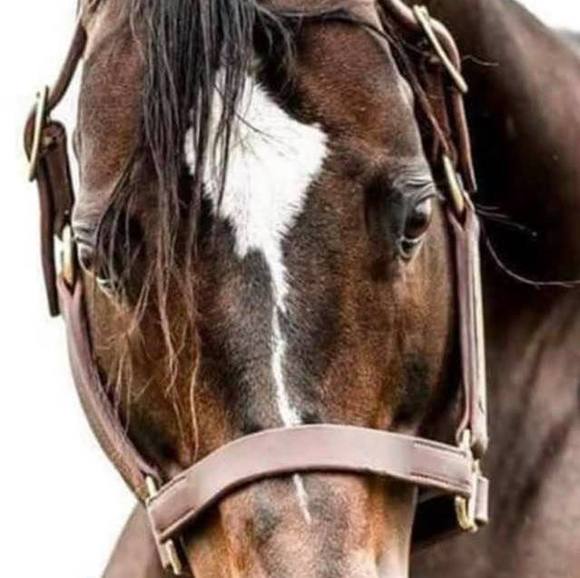 Profile Picture of Jose Maltos (@jmaltos87) on Poshmark