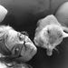 Profile Picture of Patty Carriere (@pattycarriere) on Pinterest