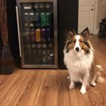 Profile Picture of Jeff Koloski (@b33rsn0b) on Instagram