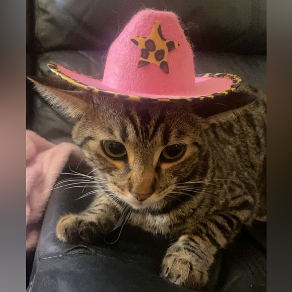 Amira Razek - Poshmark Profile Picture of Amira Razek (@amirarazek) on Poshmark