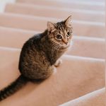 Profile Picture of Ivy Kwok (@_ivykwok_) on Instagram