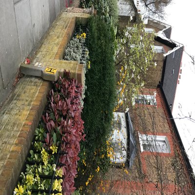 Profile Picture of Tim Gerritsen (@TimGerritsen1) on Twitter