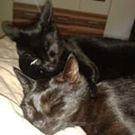 Profile Picture of Christina von Gilgenheimb (@vongilgenheimb) on Instagram