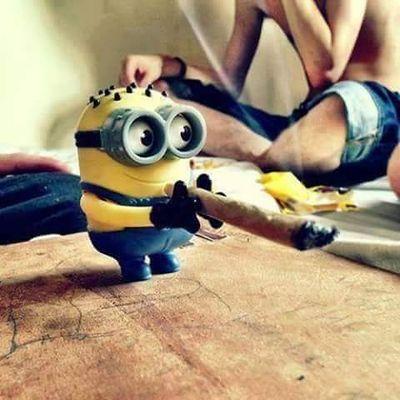 Profile Picture of Stacy Campos Paz (@StacyDeLeonel) on Twitter