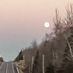 Dynelle Beaumier - Flickr Profile Picture of Dynelle Beaumier (@dynelle) on Flickr