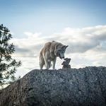 Profile Picture of Randy Schaffer (@randyschaffer2) on Instagram
