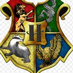 Profile Picture of Haley Smith (@the_golden_goblet) on Instagram