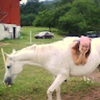 Profile Picture of Kelli Yingling (@kelli-yingling-1) on Quora