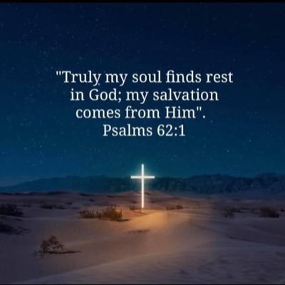 Profile Picture of Stephen Zaleski (@1Slicetogo) on Twitter