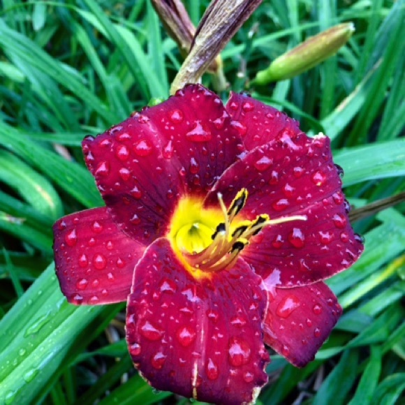 Profile Picture of ! sydney Slaney (@sydsclothes) on Poshmark