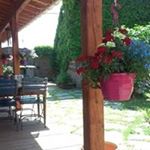 Profile Picture of Monique Dumont (@dumontmonique) on Instagram