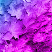 Profile Picture of Autumn Fall Leaves (@autumnfallleaves7388) on Youtube