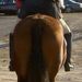 Profile Picture of Joan Henning (@henningstables) on Pinterest