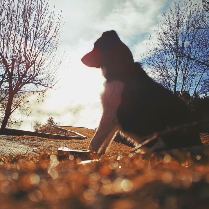 Daniel - Tiktok Profile Picture of Daniel (@daniel_wattam) on Tiktok