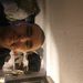 Profile Picture of Travis Nixon (@travisnixon35) on Pinterest