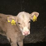 Profile Picture of Markhehir (@markhehir165) on Instagram