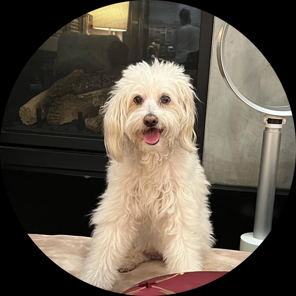 Profile Picture of Alice Kuo (@midorigal) on Poshmark