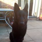 Profile Picture of Naomi Mainwaring (@naomi.mainwaring.5015) on Facebook