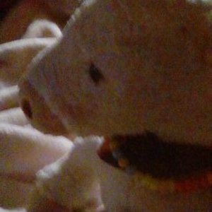 Jessica Millan - Twitter Profile Picture of Jessica Millan (@123jessie2006) on Twitter