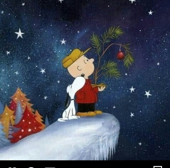 Profile Picture of Lynne Coppola (@lynnecoppola) on Poshmark