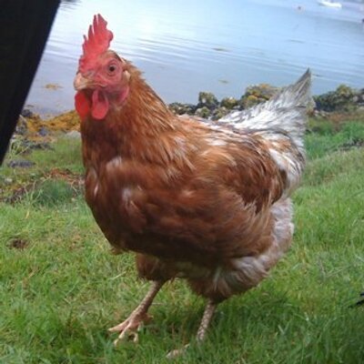 Profile Picture of Andrew McLeod (@Biosolids_Andy) on Twitter