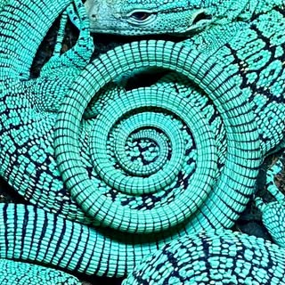 Profile Picture of 𝝅𝑣̑ϱ (@alejandromartinez_) on Instagram