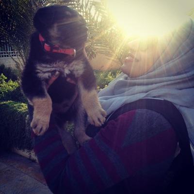 Profile Picture of Razan Al-Ott (@ImNezar) on Twitter