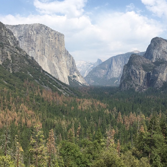 Profile Picture of Alischa Beets (@leechienoe) on Poshmark