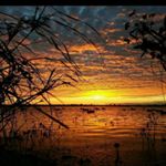 Profile Picture of Glenn Lydahl (@glennlydahl) on Instagram