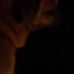 Profile Picture of Bartsch Michael (@bartsch.michael.5) on Facebook