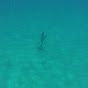 Profile Picture of brad porter (@@bradky87) on Tiktok