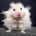 Profile Picture of Michael Valdiviezo (@michael___2001) on Instagram