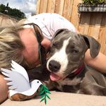 Profile Picture of Lisa Knust (@lisaschroder4488) on Instagram