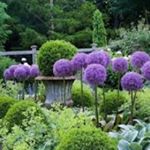 Profile Picture of Blue Boxwood Designs (@lisatestanidesigns) on Instagram