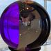 Profile Picture of Sandra Baumgartner (@sandra.baumgartner.186) on Facebook