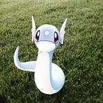 Profile Picture of Alexander K (@gottacatchemalex) on Instagram