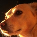 Profile Picture of Jackie Brown (@mrs.jackie.brown) on Instagram